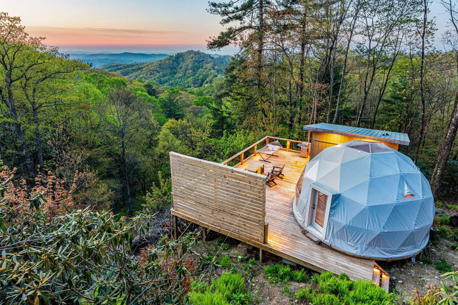 TreePod dome tucked into the trees