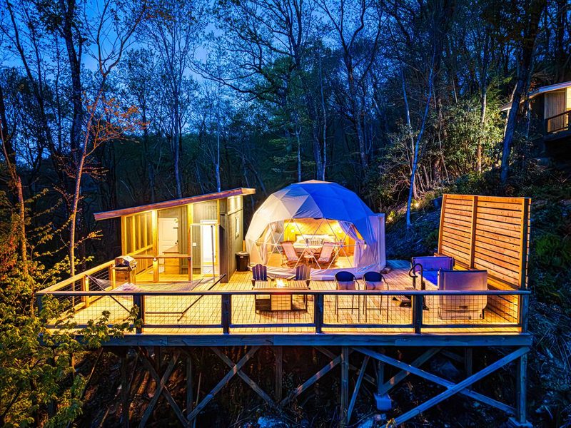 The TreePod — gallery photo 4