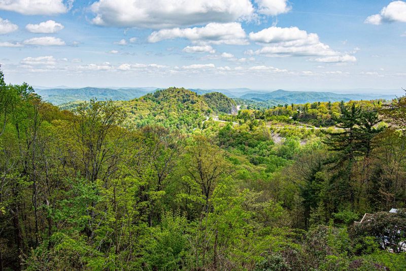 The Grand Cabin — Deck & Views photo 33
