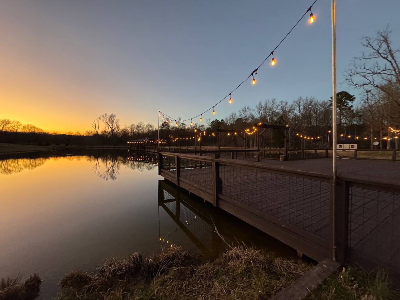 The shared grounds at Wicker Branch — pond and dock under string lights at dusk