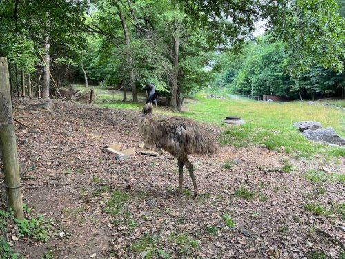 57122653-f7f2-427e-9b6e-2b9e8b7f9fa0