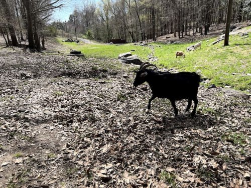 794105f8-e1aa-478c-81c9-0d0e9856b549