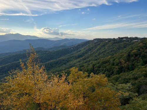 983ad567-4543-497d-9656-86fc710f453e