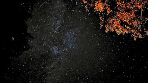 bd1f1316-b3ae-489d-bf84-03335dc622a7