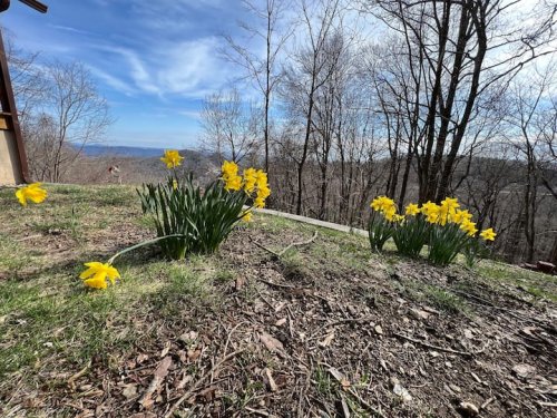 bdf39875-a6fe-4523-9881-2814a7a6ea5b